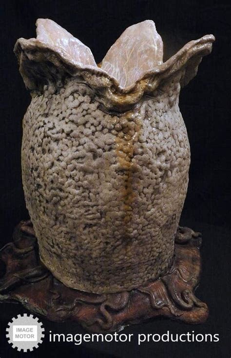 Image result for Alien Egg Prop