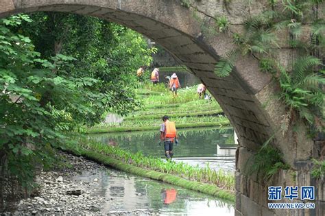 福州：构建内河水系生态修复链提升河水自净能力_新闻中心_百奥源生态环保科技（北京）有限公司