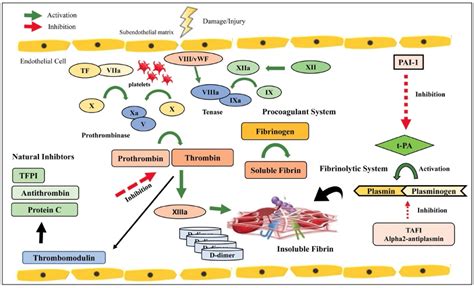 Image result for Heparin Problems
