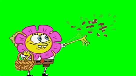 Spongebob Flower Background ·① WallpaperTag