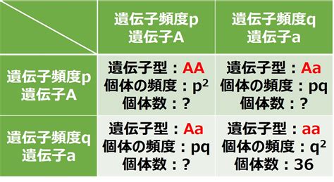 Image result for Example ATS Templates for Process Engineering