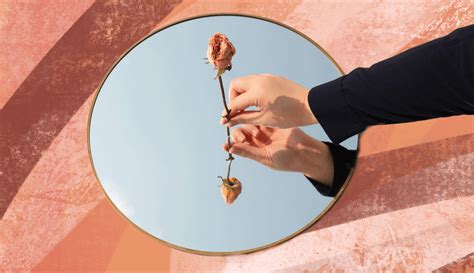 Reflection Examples 的图像结果