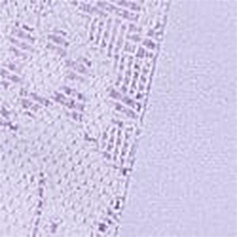 Panty Offer | Victoria's Secret India