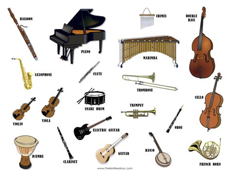 Musical Instruments and Their Sound 的图像结果