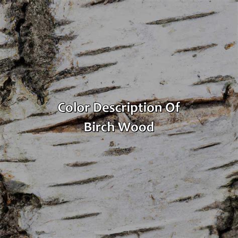 Is Birch Wood Light at Norman Eich blog