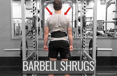 Shoulder Shrugs Barbell