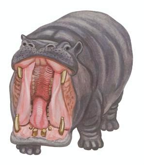 Image result for Alien Upper Body 4K