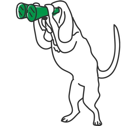 How Much Exercise Do Dogs Need? | IAMS™
