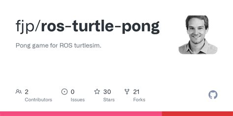 Basic Turtle Programs Pong 的图像结果