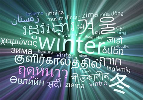 Multilanguage 的图像结果