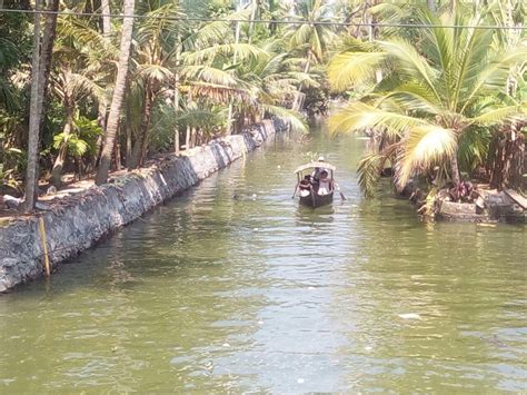 ALLEPPEY HOMESTAY (Kerala/Alappuzha) - Guesthouse Reviews & Photos ...