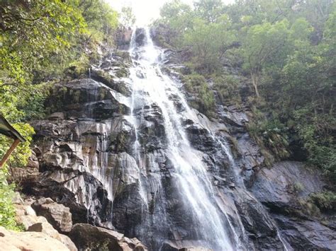 The 10 Best Hotel Deals in Pachmarhi (Jun 2025) - Tripadvisor
