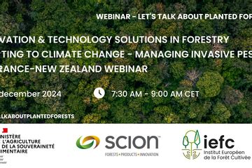 IUFRO - Webinar: Let's Talk About Planted Forests: Innovation ...
