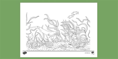 FREE! - Kelp Forest Colouring Page - Creative Fun for Children
