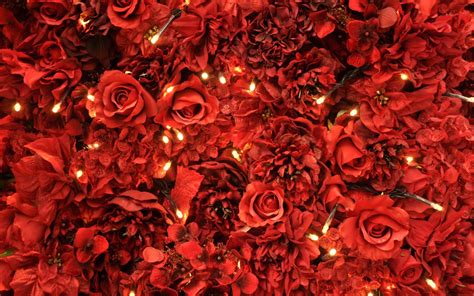 Red Roses Lights Wallpaper - Photo #25951 - Free 3D Models | Free stock ...