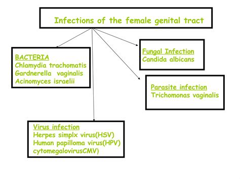 female genital tract infection | PPT