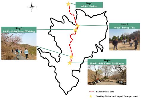 How Does the Urban Forest Environment Affect the Psychological ...