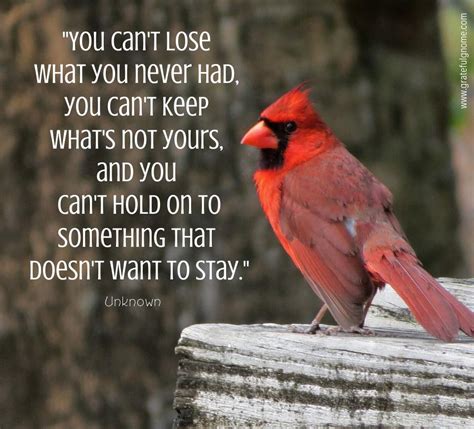 Life Lesson 的图像结果