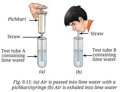 NCERT Based Activity Life Processes In Animals - Class 7 Science ...