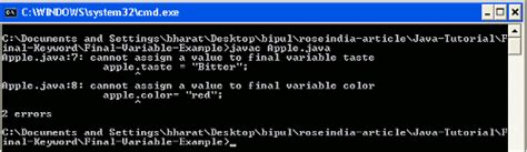 Java Final Variable Examples 的图像结果