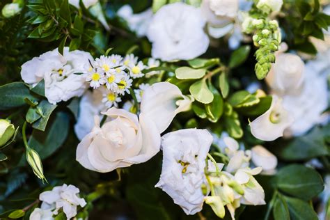 Marine Park Funeral Home