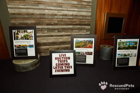 Events | Rescued Pets Movement