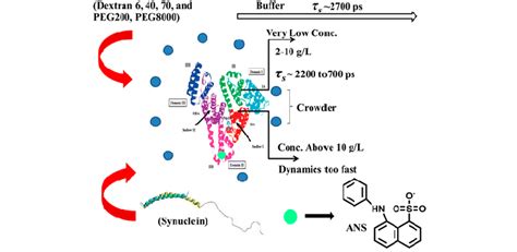 Biophysical Research Lab