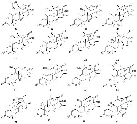 Austin-Type Meroterpenoids from Fungi Reported in the Last Five Decades ...