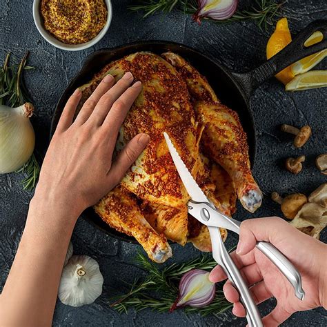 Heavy Duty Stainless Steel Poultry Shears, Premium Ultra Sharp Spring ...