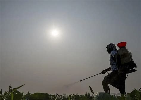 The trend in climate change jurisprudence