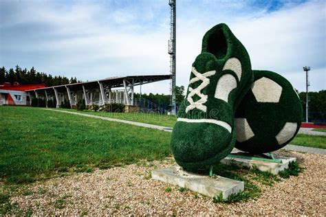Football Court 的图像结果