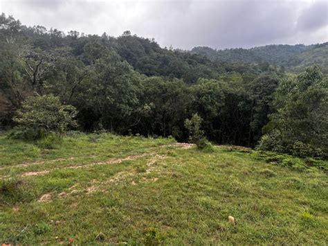 Agricultural/Farm Land for Sale in Mudigere, Chikmagalur - by Green ...