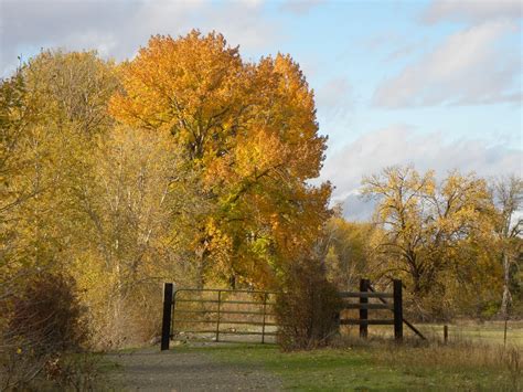 Irene Rinehart Riverfront Park — Washington Trails Association