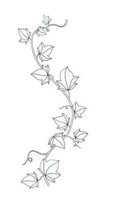 Image result for Chart Example Cartoon