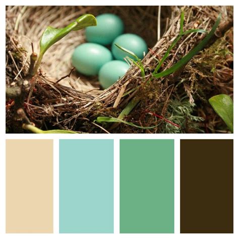 Natural Robin's Egg Nest Color Palette
