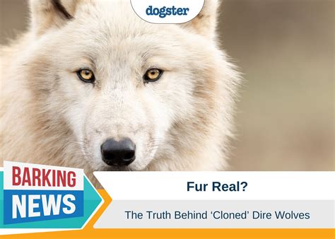 De-Extinction of the Dire Wolf - Brave New World or Colossal Mistake ...