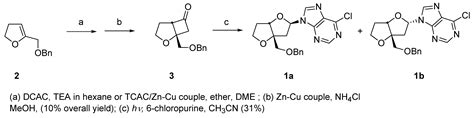 Photochemical Synthesis of Nucleoside Analogues from Cyclobutanones ...