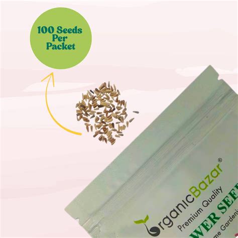 Buy Best Quality Aster Formula Mix Flower Seeds