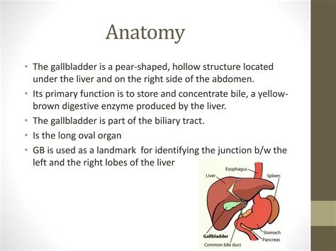 Anatomy and Sonography of Gallbladder | PPTX