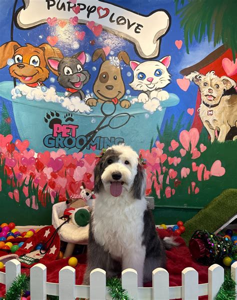Puppy Love Pet Grooming (@apuppyloveaz) • Instagram photos and videos