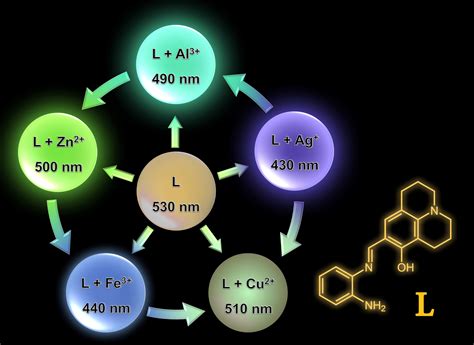 A Simple Schiff Base Probe for Quintuplicate-Metal Analytes with Four ...
