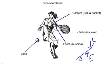 Third Class Lever 的图像结果