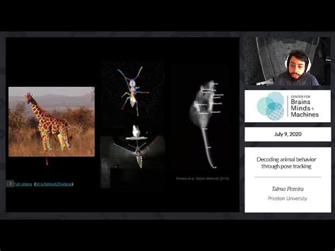 Deep Learning Model Animal Behvaior 的图像结果