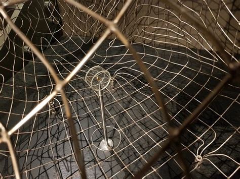 Waihi Gold Mine Tours - 2020 What to Know Before You Go (with Photos ...