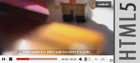 Image result for HTML Video Player Forward