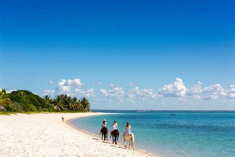 AFRICAN HORSE SAFARIS (2026) All You Need to Know BEFORE You Go (with ...