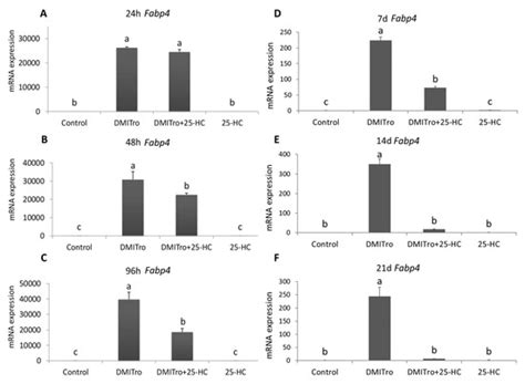 IJMS | Special Issue : Bioactive Lipids and Lipidomics 2020