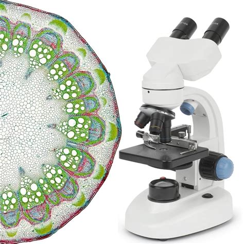 40x 1000x Magnification Led Binocular Compound Microscope Professional ...