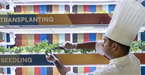 UAE hotels look to tackle food waste with smarter planning and AI ...