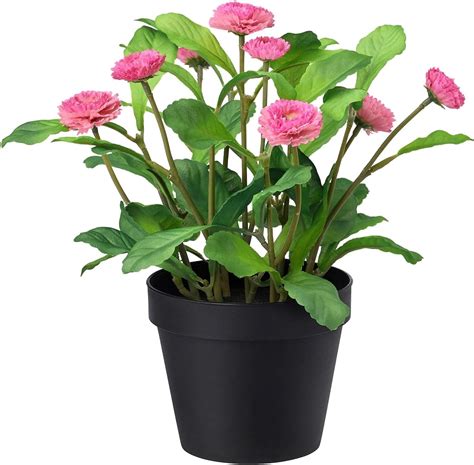 Buy IKEA Artificial Plant with Plastic Pot (Green, 3 Piece) Online at ...